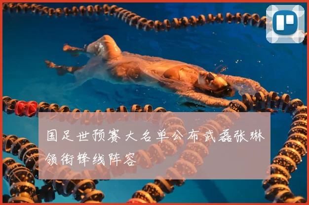 国足世预赛大名单公布武磊张琳芃领衔锋线阵容