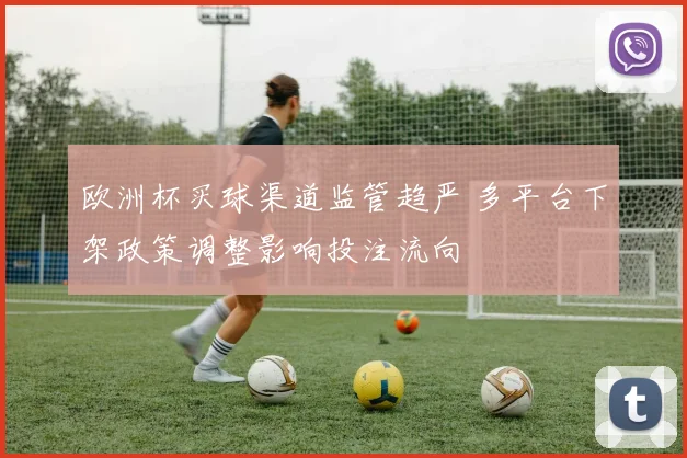 欧洲杯买球渠道监管趋严 多平台下架政策调整影响投注流向