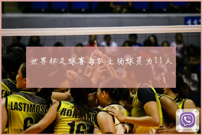 世界杯足球赛每队上场球员为11人